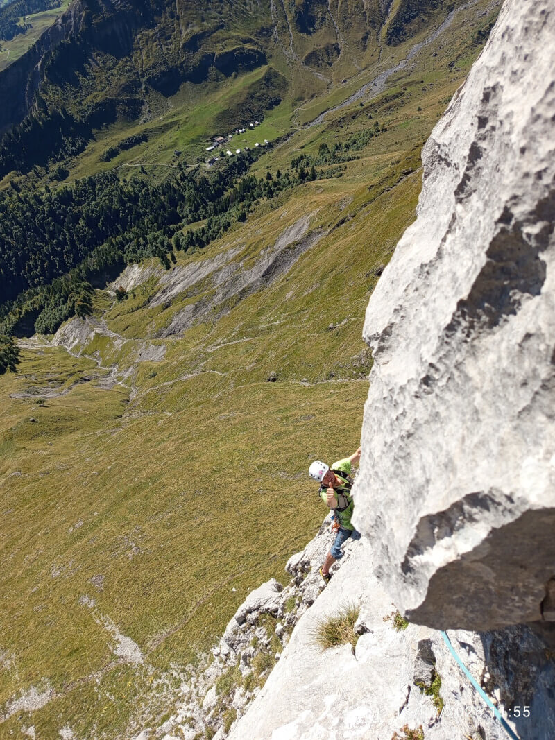 "URL_DE_L_IMAGE_TOUR_D_AREU" 