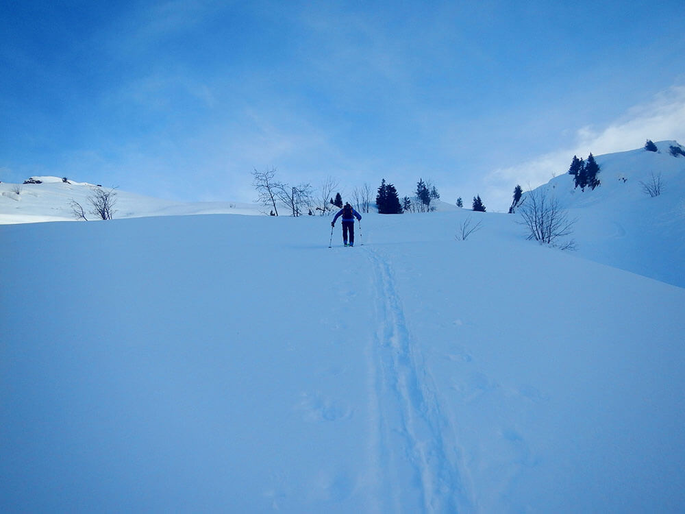 Combe aux Puaires à Samœns