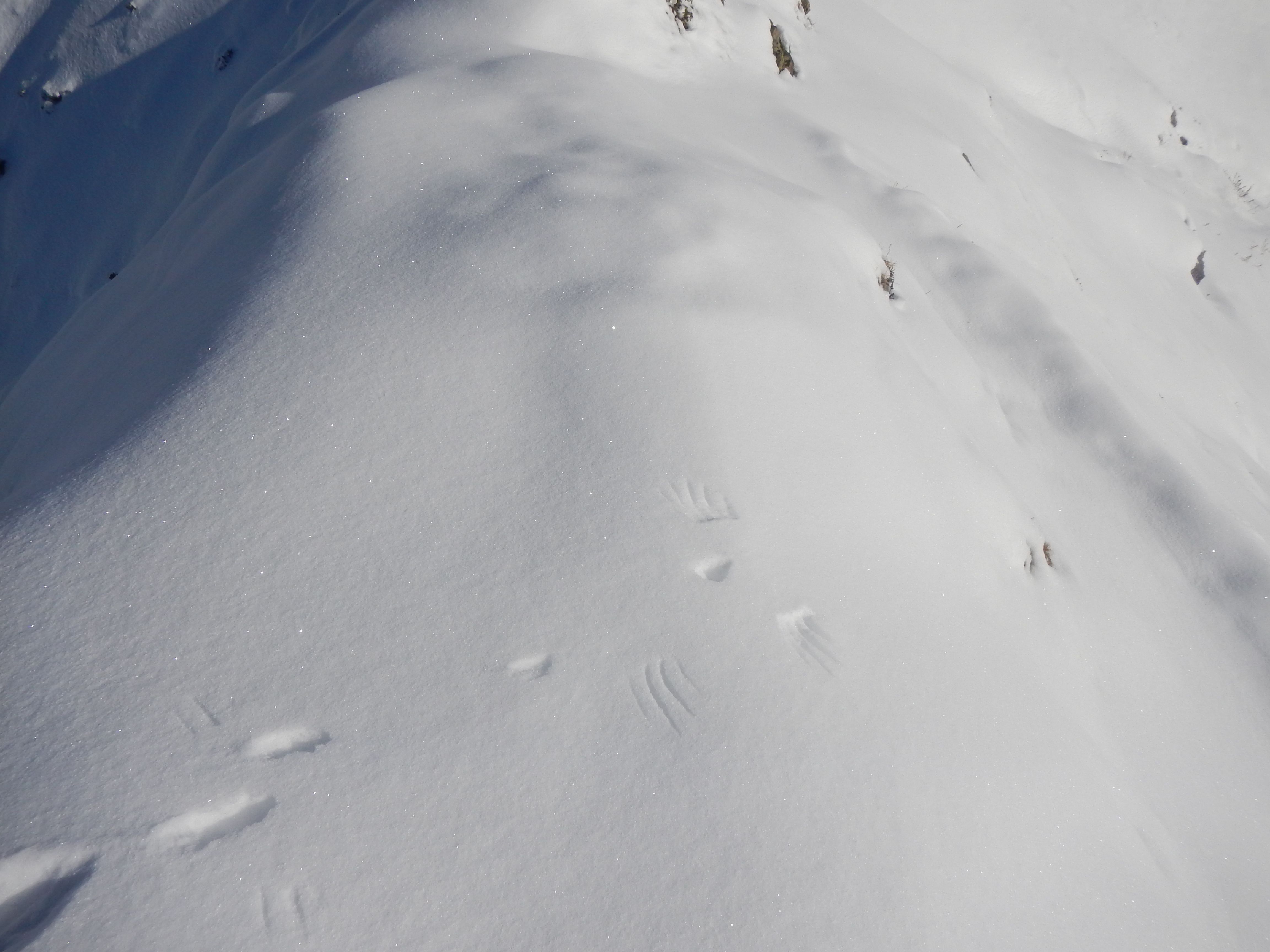 Aiguillette des Houches : Chamonix-Mont-Blanc