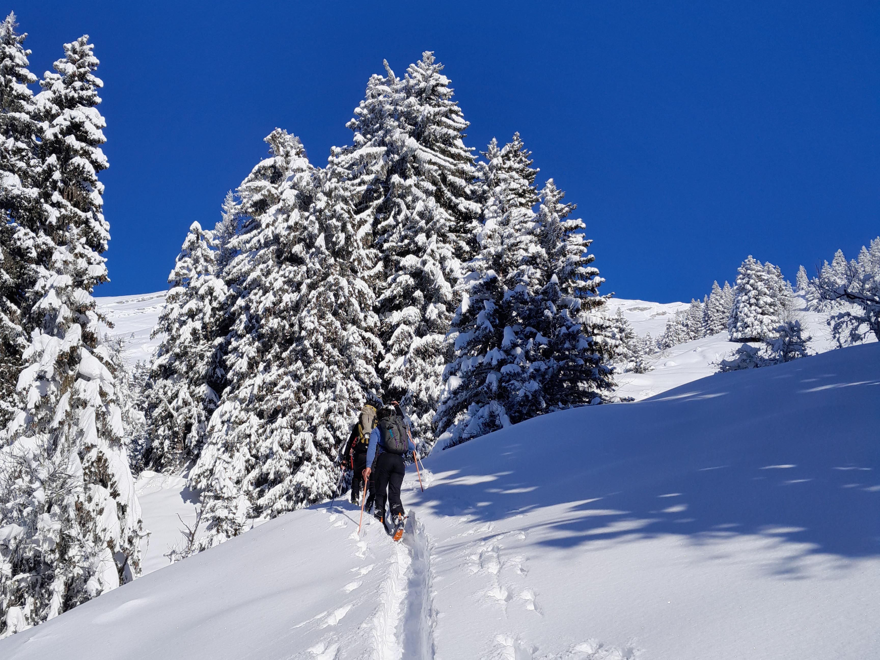 Ski de rando à Samoœns