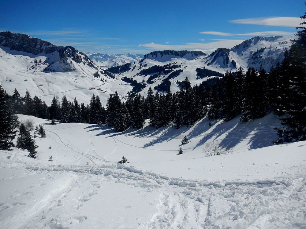 Tour de Haute-Pointe : Praz de Lys/Sommand