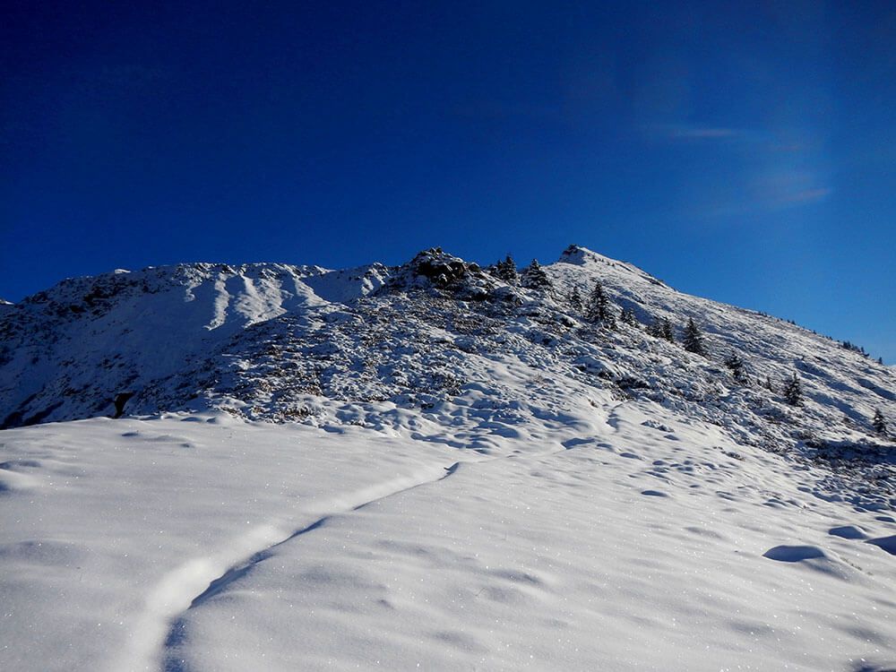 Trace d'animaux : Aiguillette des Houches