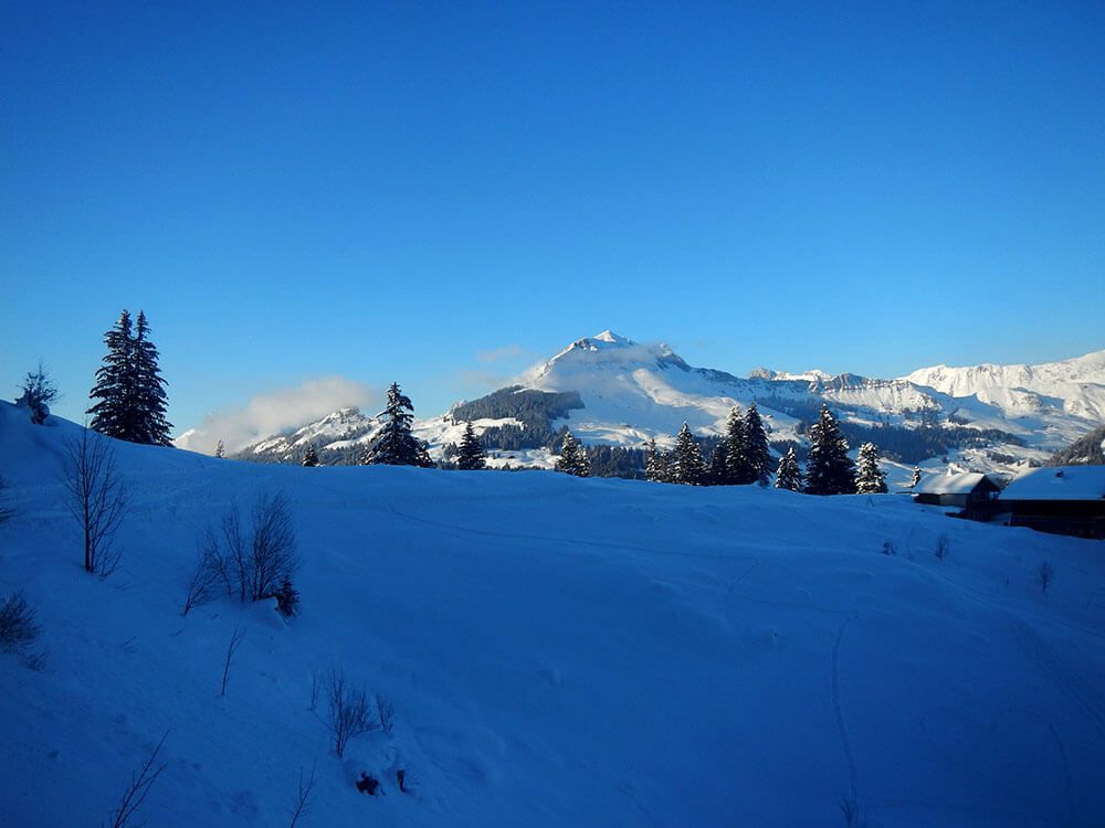 Tête de Paccaly : La Clusaz